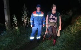 Спасатели и добровольцы искали заблудившуюся женщину в лесу у Будогощи