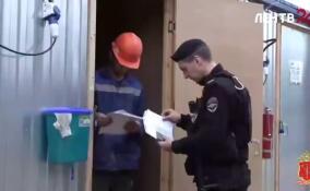 Около 50 человек были задержаны во время рейда по выявлению нелегальных мигрантов в Мурино