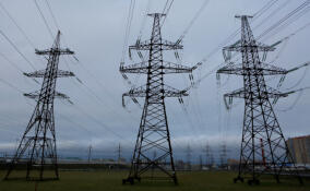 «Россети Ленэнерго» обеспечили электроэнергией производителя пищевых продуктов под Кингисеппом