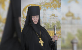 В Петербург доставят ковчег с частицей мощей святителя Луки Крымского