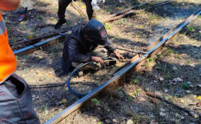 Ленинградские транспортники помогли восстановить трамвайную сеть Енакиево