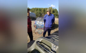 Спасатели помогли найти путь домой мужчине, заплутавшему в лесу под Подпорожьем