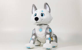 Собака «Арктика» из Ленобласти одержала победу во всероссийском конкурсе