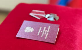 Трое военнослужащих из Всеволожского района посмертно награждены орденами Мужества