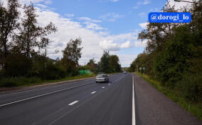 Дорожники обновили подъезд к Красному Селу