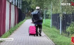 Полицейские задержали мужчину, который пытался похитить ребенка