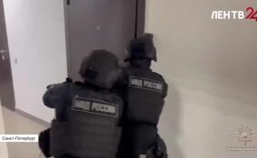 Полицейские Петербурга задержали жителя Калининградской области, помогавшего международным мошенникам