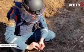 В Ленобласти уничтожили боеприпас времен Великой Отечественной войны