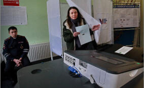 Свыше 940 энергетиков будут дежурить в Ленобласти в дни голосования