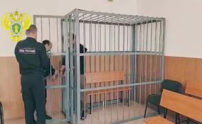 Жителя Лужского района отправили в СИЗО за хранение почти полкило наркотиков