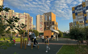 На новой прогулочной зоне в Кудрово высадили уже 1100 саженцев