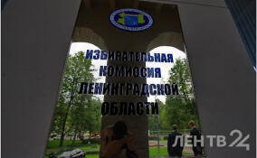 Стартовал первый день голосования на выборах губернатора Ленобласти