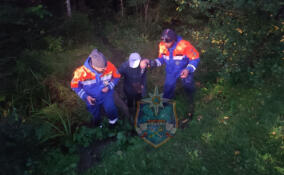 Спасатели вывели из леса у СНТ «Дивное» пожилую женщину