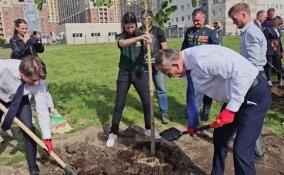 Александр Дрозденко и Евгений Барановский поучаствовали в посадке кленов рядом с памятником героям СВО