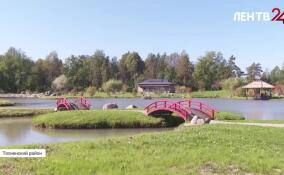 Туристический маршрут «Государева дорога» в Тосненском районе