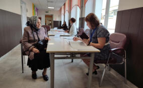 В Сланцах ветеран войны проголосовала на выборах губернатора