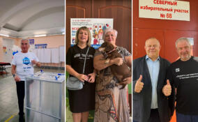 Сергей Петров, Сергей Бебенин и Марина Левченко проголосовали на выборах губернатора Ленобласти