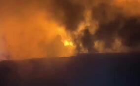 В пожаре под Всеволожском погиб чемпион СССР по лыжным гонкам Сергей Сокарев