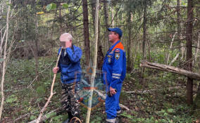 Мужчина заплутал и провел ночь в лесу в Волховском районе
