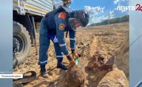 В Тосненском районе обнаружили боеприпасы времен Великой Отечественной войны