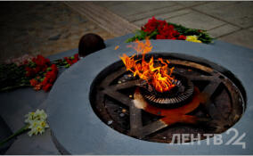 Более 50 боеприпасов времен войны обнаружили в Тосненском районе