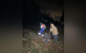 Спасатели и волонтеры вывели из леса под Кировском заплутавшего мужчину