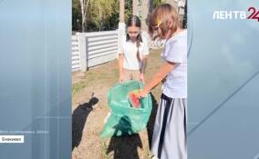 Активные ученики Енакиево очистили территорию школы № 2