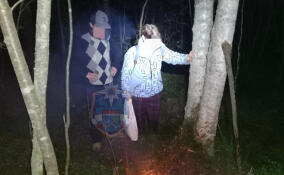 Спасатели вывели из леса во Всеволожском районе женщину с подростком