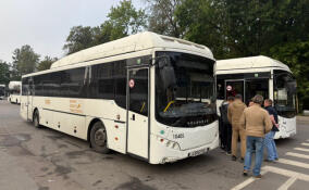 Бесплатные автобусы запустили из Гатчины в Петербург после инцидента на ж/д путях