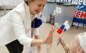 Явка избирателей на выборах губернатора Ленобласти превысила 48% к 10 утра