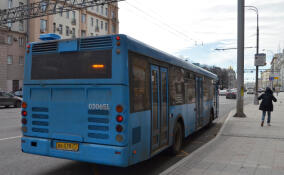 На направлении Луга — Гатчина — Петербург запустили 20 дополнительных автобусов