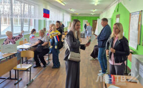 На выборах разного уровня в единый день голосования 2025 года проголосовали свыше 16 млн человек