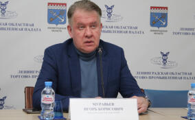 Игорь Муравьев: Мы выбираем не только губернатора и его команду, но и путь развития Ленобласти
