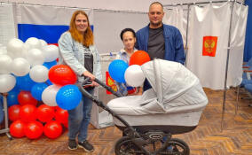 Более 780 тысяч человек проголосовали на выборах губернатора Ленобласти