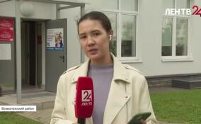 Выборы губернатора: явка избирателей превысила 50%