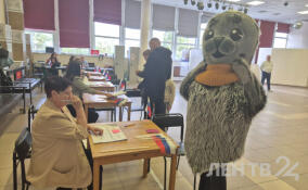 Нерпа Шлиссик пришел на выборы губернатора Ленобласти