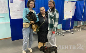 Жители посёлка имени Свердлова активно голосуют на выборах губернатора Ленобласти