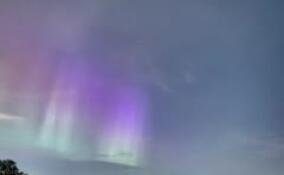 Зеленые и фиолетовые всполохи северного сияния запечатлели в Ленобласти