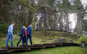 В парке «Грачиная гора» в Петровском обустроили экологическую тропу