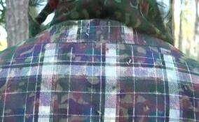 Полчища оленьих кровососок заполонили леса Ленобласти