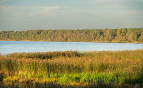 Александр Дрозденко показал красоту осенней природы в Ленобласти