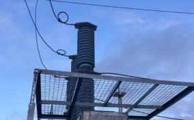 В Гатчинском округе завершили модернизацию подстанции 110 кВ