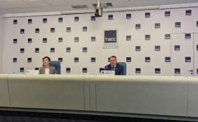 Более 894 тысяч избирателей проголосовали на выборах губернатора Ленобласти