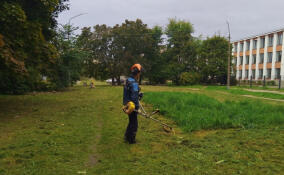 В Выборге продолжаются сезонные работы по благоустройству