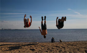 Ленобласть стала регионом с самой низкой заболеваемостью алкоголизмом