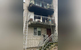 Из горящей квартиры в Отрадном спасли пожилую женщину и ее пса