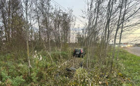 В Гатчинском районе иномарка улетела в кювет и врезалась в дерево