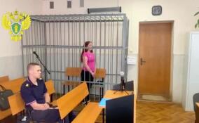 Жительницу Новгородской области приговорили к восьми годам за убийство знакомого в Никольском