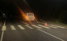 УАЗ насмерть сбил пожилого пешехода в деревне Дятлицы