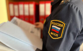 Ленинградец лишился земли в Кингисеппском районе из-за долгов